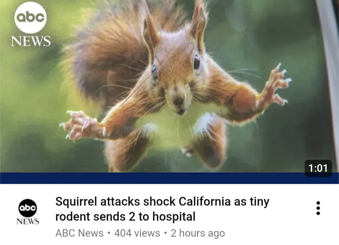 NEWS 1:01 Squirrel attacks shock California as tiny NEWS rodent sends 2 to hospital ABC News 404 views 2 hours ago