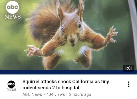 NEWS 1:01 Squirrel attacks shock California as tiny NEWS rodent sends 2 to hospital ABC News 404 views 2 hours ago