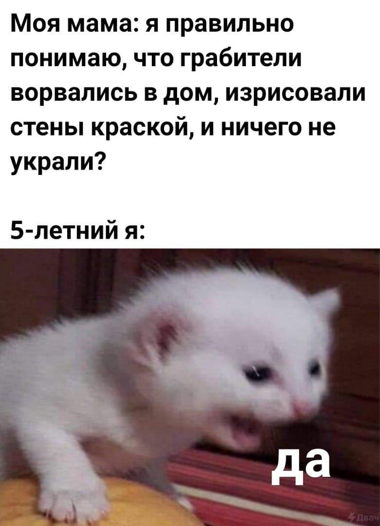 Моя мама: я правильно понимаю, что грабители ворвались в дом, изрисовали стены краской, и ничего не украли? 5-летний я: fia