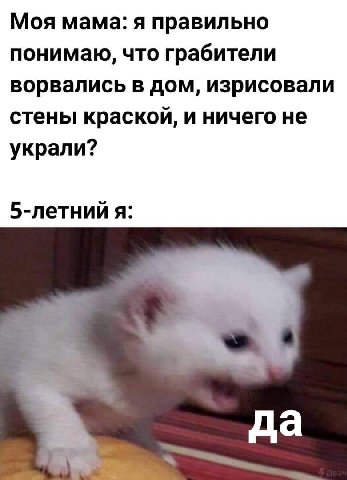 Моя мама: я правильно понимаю, что грабители ворвались в дом, изрисовали стены краской, и ничего не украли? 5-летний я: fia
