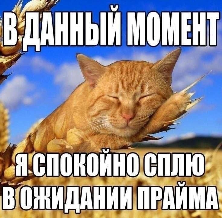 ДАННЫЙ МОМЕНТ Я ‘спокойно еплю: ВОНИДАНИИ ПРАЙМА