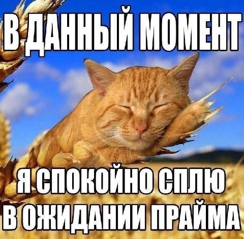 ДАННЫЙ МОМЕНТ Я ‘спокойно еплю: ВОНИДАНИИ ПРАЙМА