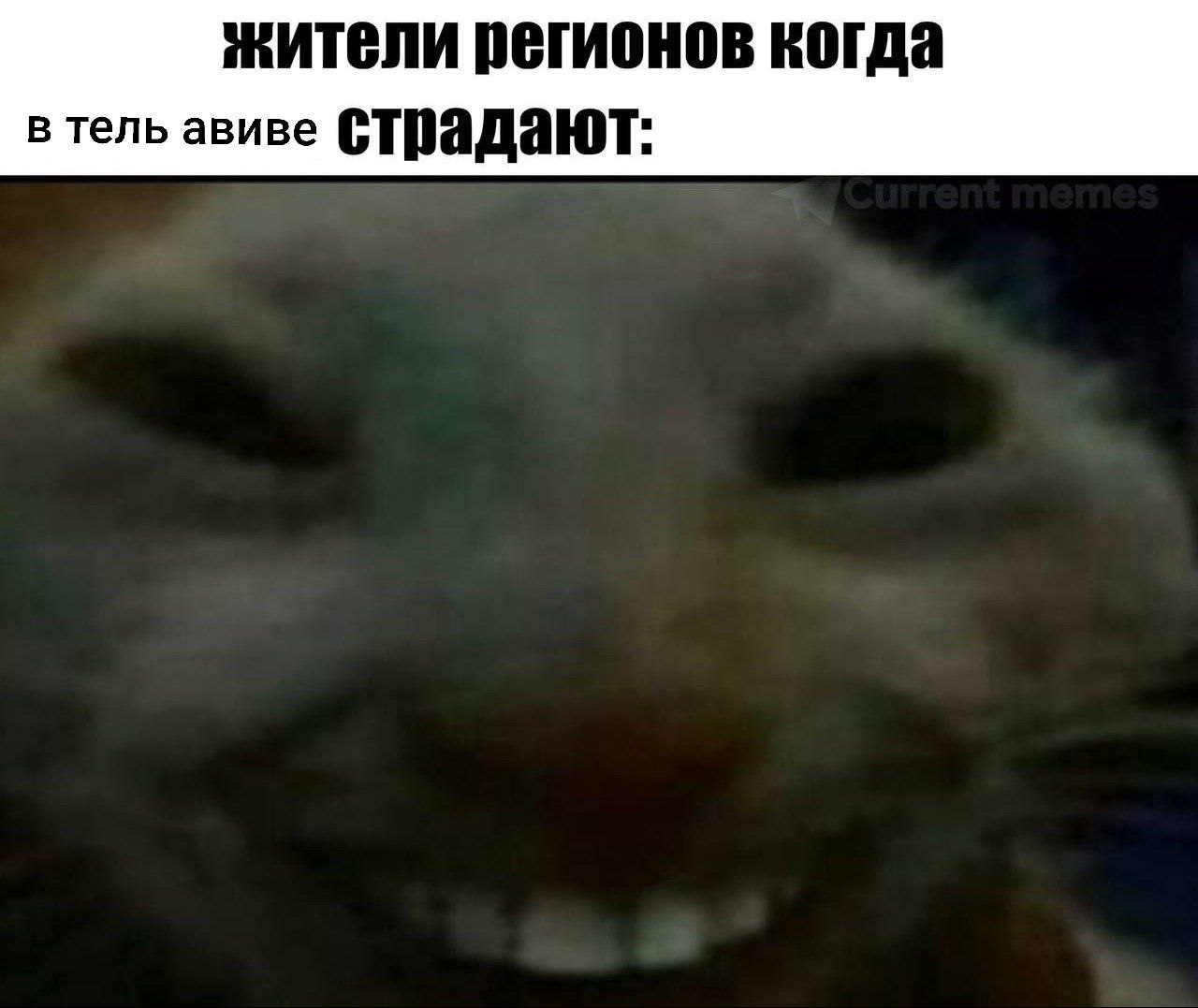 жители регионов когда в тель авиве СТрадают: