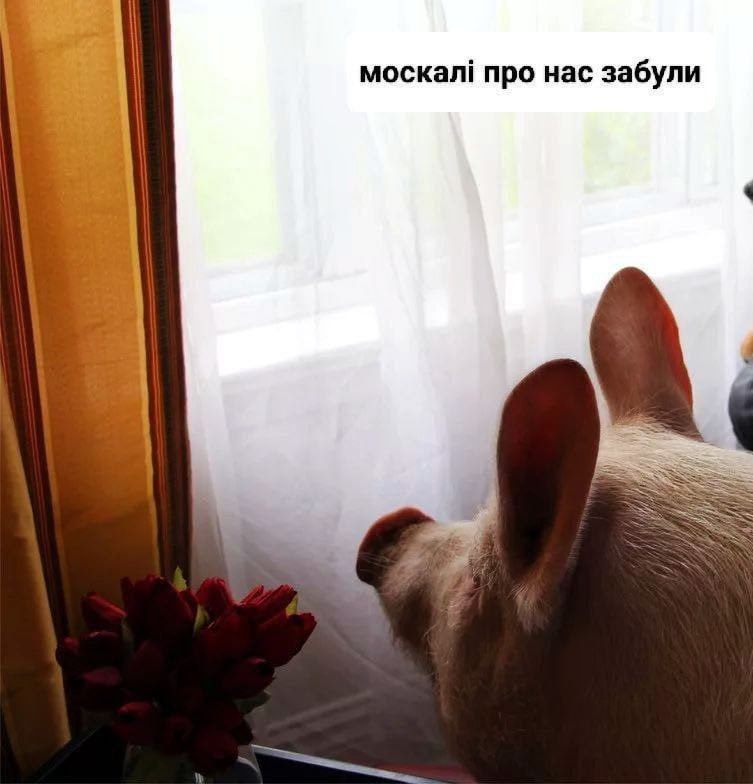 и москал! про нас забули it