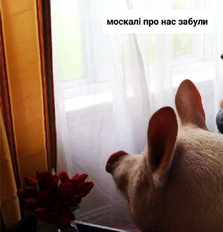 и москал! про нас забули it