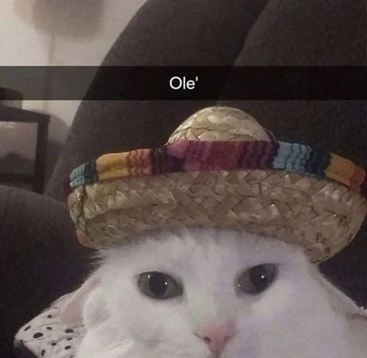 Ole'