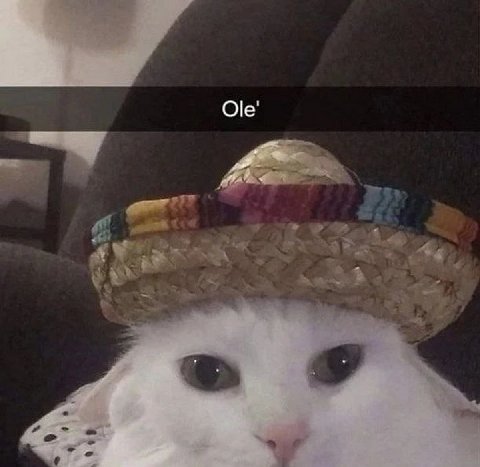 Ole'