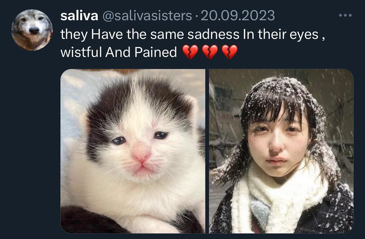 saliva @salivasisters 20.09.2023 they Have the same sadness In their eyes wistful And Pained 4 у Я.