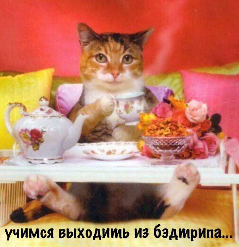 i учимся выходишь ИЗ бэдтрипа.