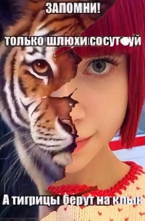 ЗАПОМНИ! только шлюхисосутеуи берут на