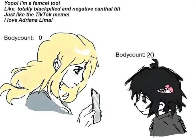 Yooo! a femcel too! Like, totally blackpilled and negative canthal tilt Just like the TikTok meme! love Adriana Lima! Bodycount: 0 Bodycount: 20