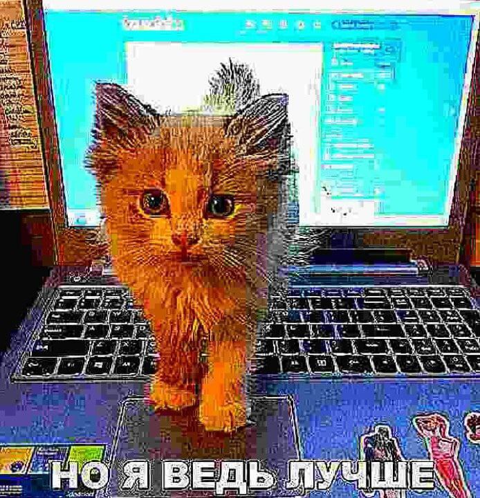 i 227 1 ina к у Я ВЕДЬ 1 tos
