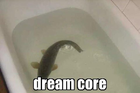 core