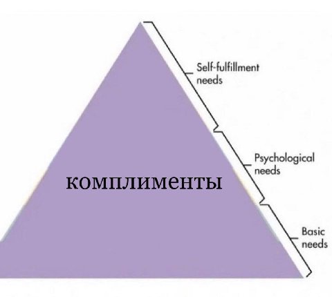 Self-fulfillment needs Psychological needs Basic needs