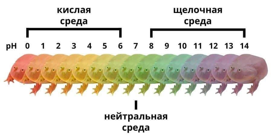 кислая щелочная среда среда 0 12 3 4 5 6 7 8 9 10 11 12 13 14 1 нейтральная среда