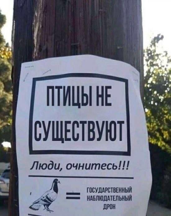 ПТИЦЫ HE СУЩЕСТВУЮТ Люди, очнитесь!!! A ГОСУДАРСТВЕННЫЙ НАБЛЮДАТЕЛЬНЫЙ