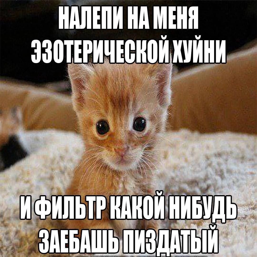 НАЛЕПИ НА МЕНЯ УЗОТЕРИЧЕСКОЙ ХУИНИ КАКОЙ НИБУДЬ- ЗАЕБАШЬ ПИЗДАТЬЙ.