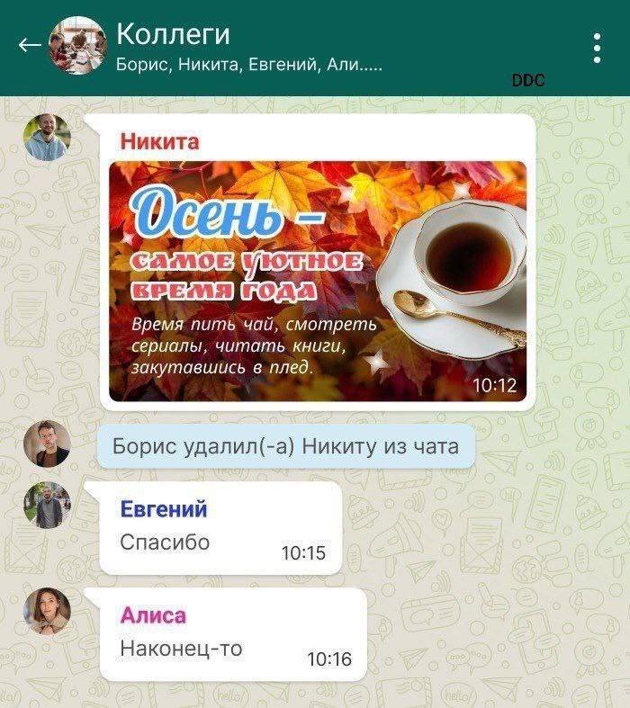 Коллеги Борис, Никита, Евгений, Али we Время пить`чай, смотреть сериалы, читать книги, закутавшись в плед. Борис удалил(-а) Никиту из чата Евгений Спасибо 10:15 Алиса Наконец-то 10:16
