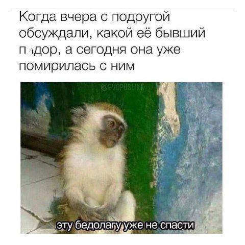 Когда вчера с подругой обсуждали, какой её бывший плдор, а сегодня она уже помирилась с ним эту ужене!спаст