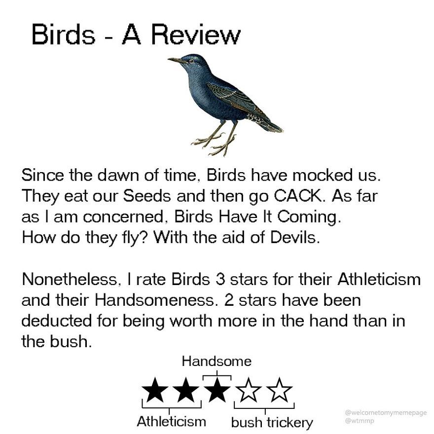 Birds А Since the dawn of time. Birds have mocked They eat our Seeds and then CACK. As far as concerned, Birds Have К Coming. How they fly? With the aid of Devils. Nonetheless. rate Birds 3 stars for 