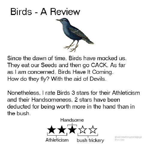 Birds А Since the dawn of time. Birds have mocked They eat our Seeds and then CACK. As far as concerned, Birds Have К Coming. How they fly? With the aid of Devils. Nonetheless. rate Birds 3 stars for 