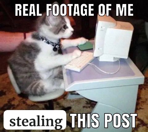 REAL FOOTAGE OF ME РЕЯ THIS POST