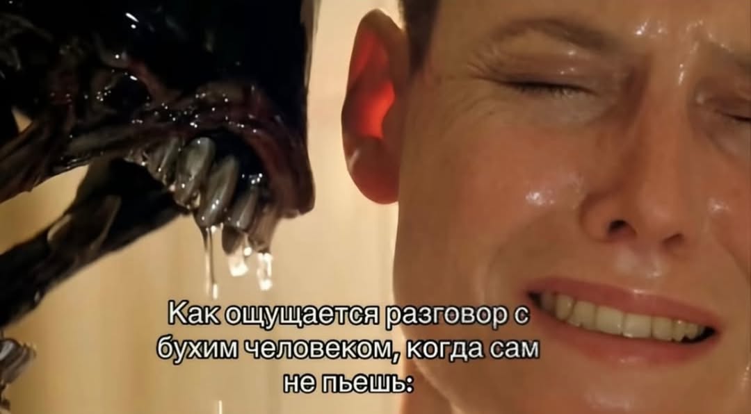 Как ощущаелся разговор С 6 ухим чело KOM когда сам непьешь
