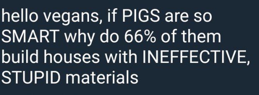 hello vegans, if PIGS are so SMART why 66% of them build houses with INEFFECTIVE, STUPID materials
