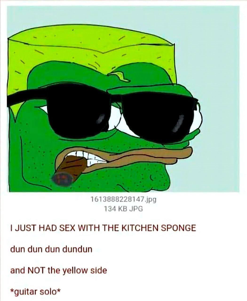 1613888228147.jpg 134 JPG JUST HAD SEX WITH THE KITCHEN SPONGE dun dun dun dundun and NOT the yellow side *guitar solo*
