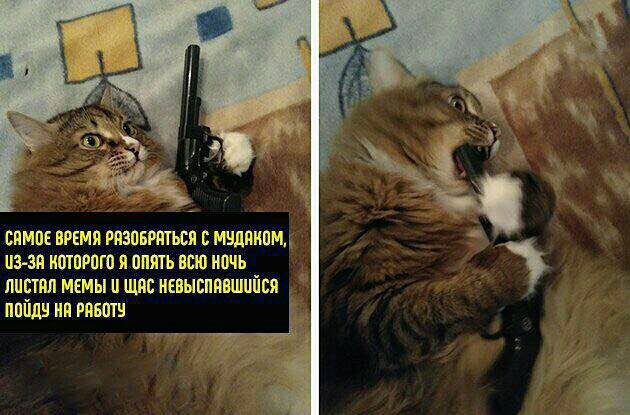 САМОЕ ВРЕМЯ РАЗОБРАТЬСЯ С МУДАКОМ, КОТОРОГО Я ОПЯТЬ ВСЮ НОЧЬ ЛИСТАЛ МЕМЫ WAC НЕВЫСПЯВШИЙСЯ ПОЙДУ РЯБОТУ