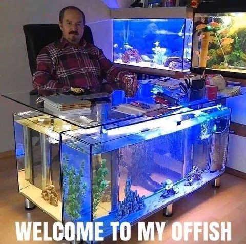 WELCOME то MY OFFISH