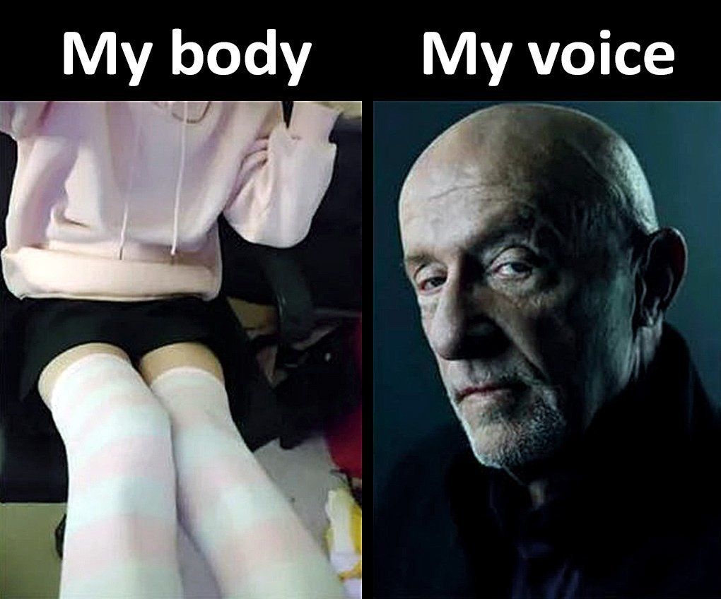 voice body