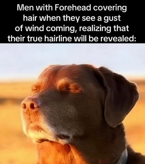 Men with Forehead covering hair when they see a gust of wind coming, realizing that their true hairline will be revealed: