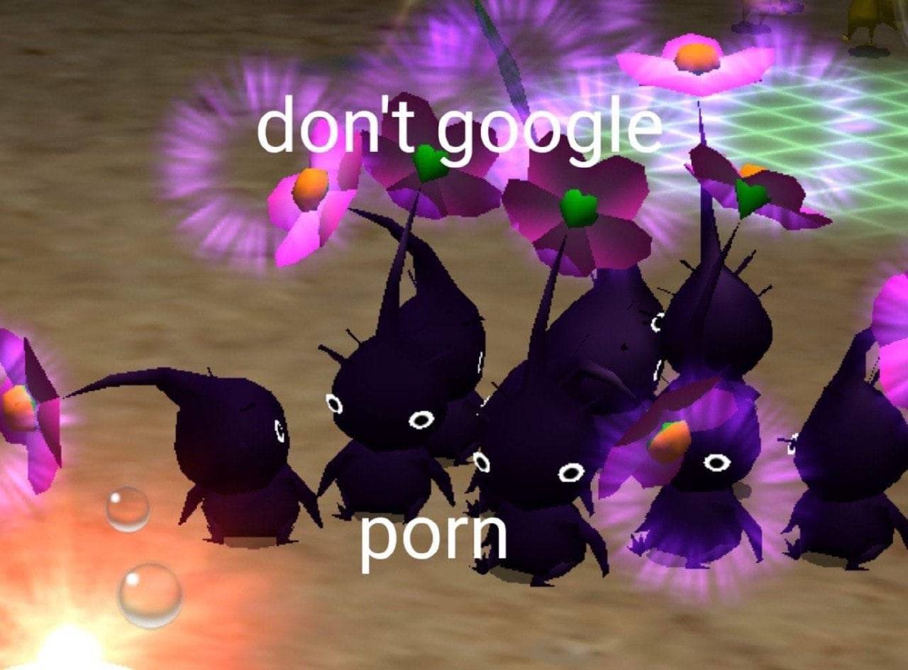 don't рогп