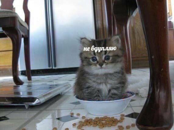 не вдупляю