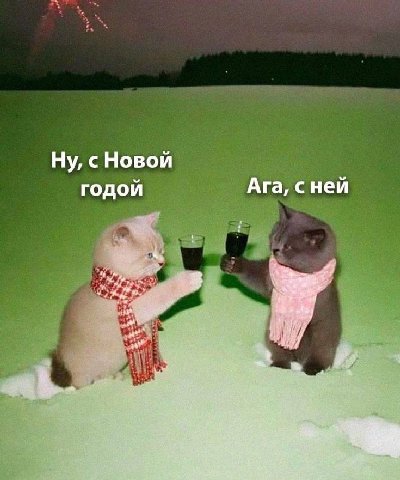 снег только выпал,так же я: