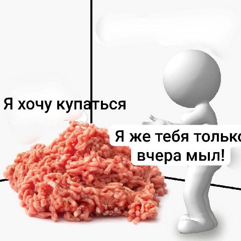 Я хочу купаться APP 1 Я же тебя тольк( вчера мыл' я a
