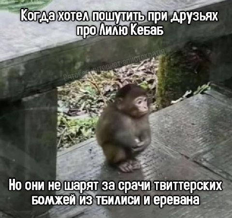 a Когда пошутить при друзьях Лилю 7 Но они не шарят за срачи твиттерских из ТБИЛИСИ И еревана