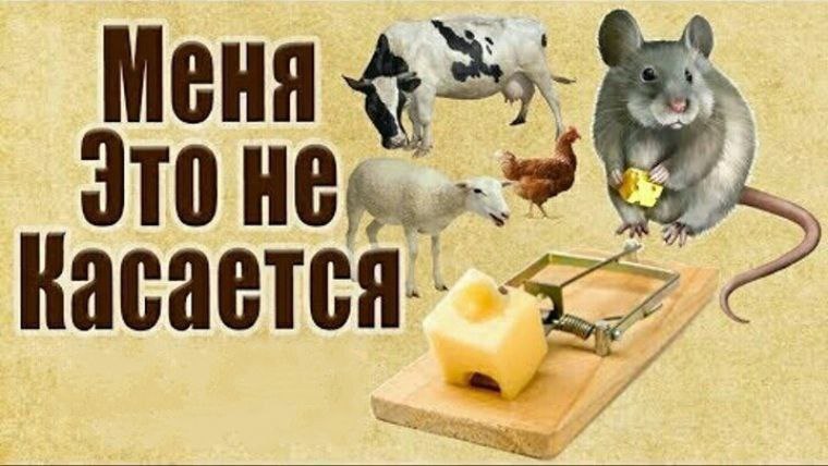 Касается