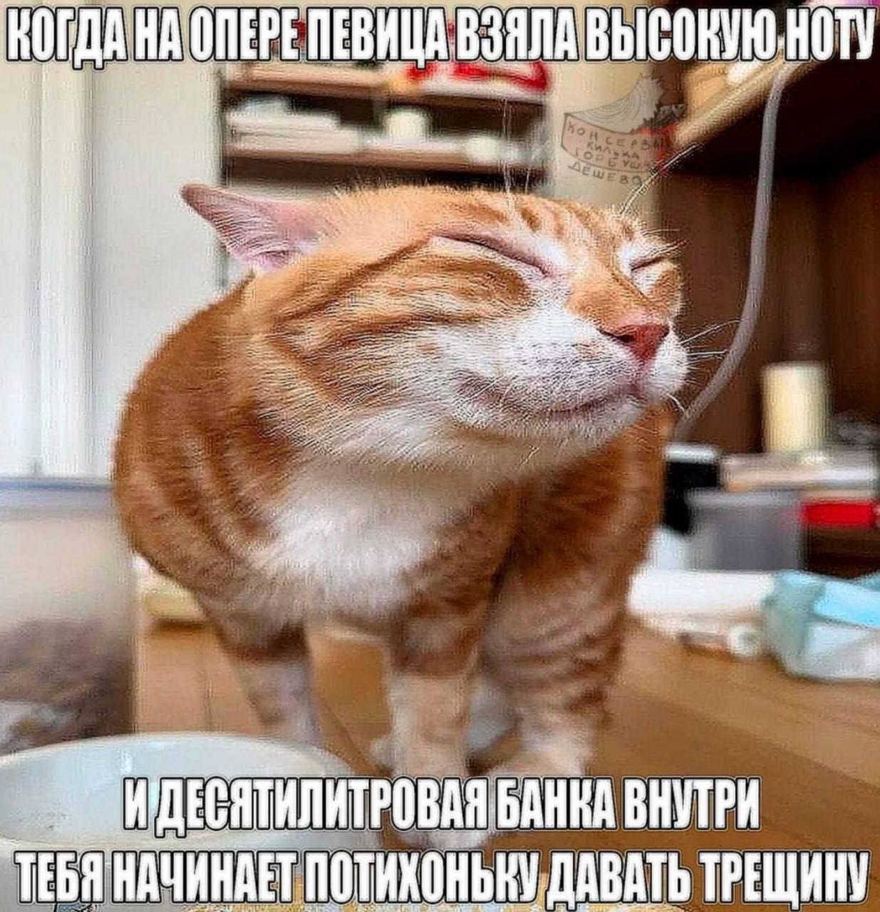 ОПЕРЕ ПЕВИЦА ВЗЯЛА БАНКА ВНУТРИ ТЕБЯ НАЧИНАЕТ ДАВАТЬ ТРЕЩИНУ