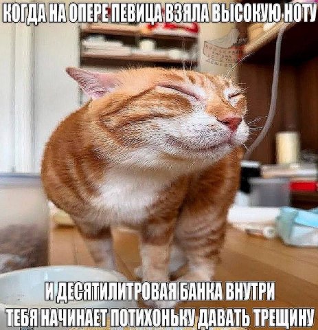 ОПЕРЕ ПЕВИЦА ВЗЯЛА БАНКА ВНУТРИ ТЕБЯ НАЧИНАЕТ ДАВАТЬ ТРЕЩИНУ
