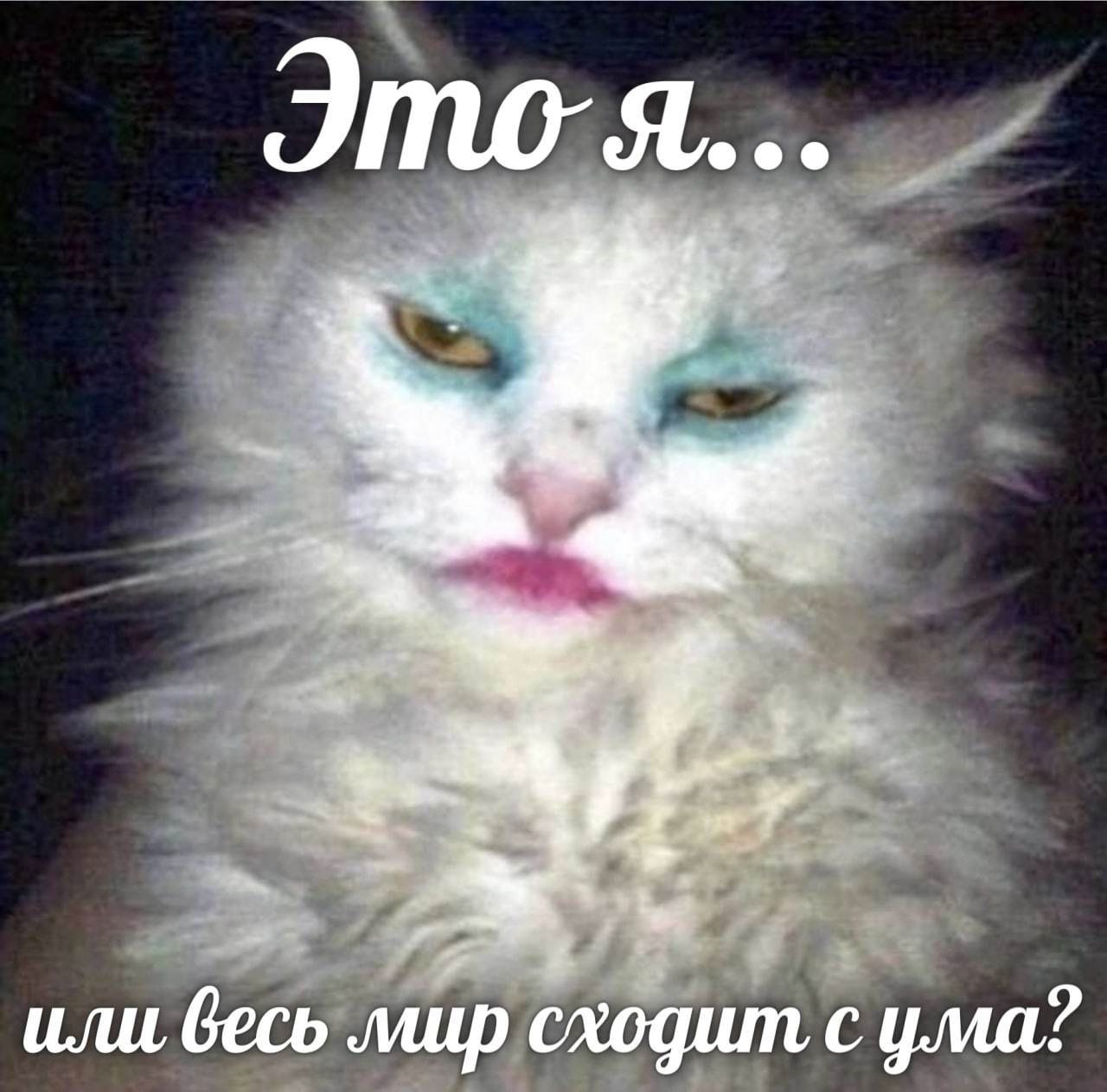 IMO или весь мир сходит, с ума?