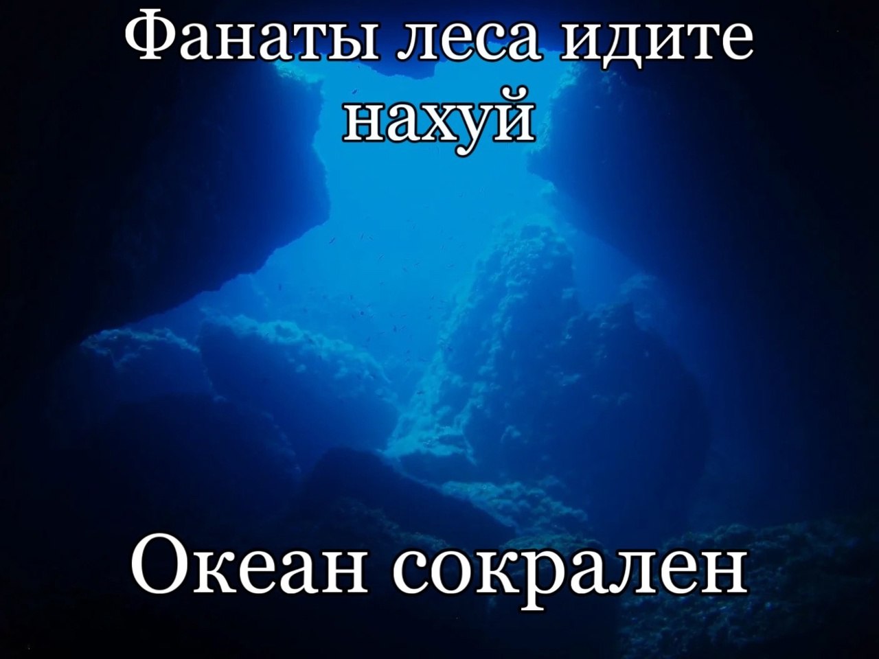 Фанаты леса идите нахуй Океан сокрален