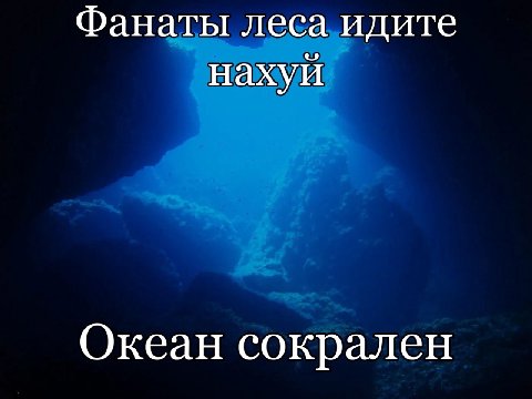 Фанаты леса идите нахуй Океан сокрален