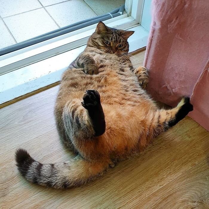 we