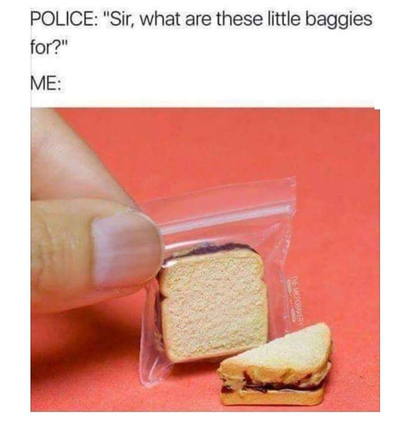 POLICE: "Sir, what are these little baggies for?" ME: