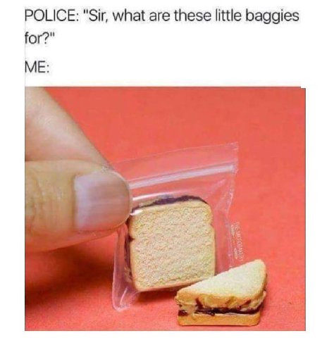 POLICE: "Sir, what are these little baggies for?" ME: