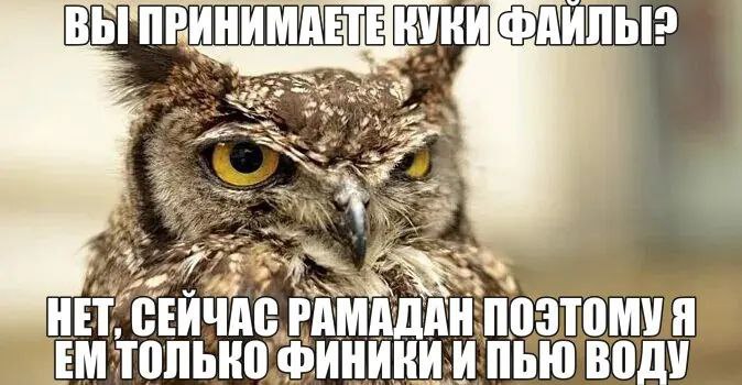 2 НЕТ, РАМА. A SEM ТОЛЬКО ФИНИКИИ BODY