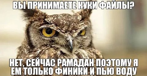 2 НЕТ, РАМА. A SEM ТОЛЬКО ФИНИКИИ BODY