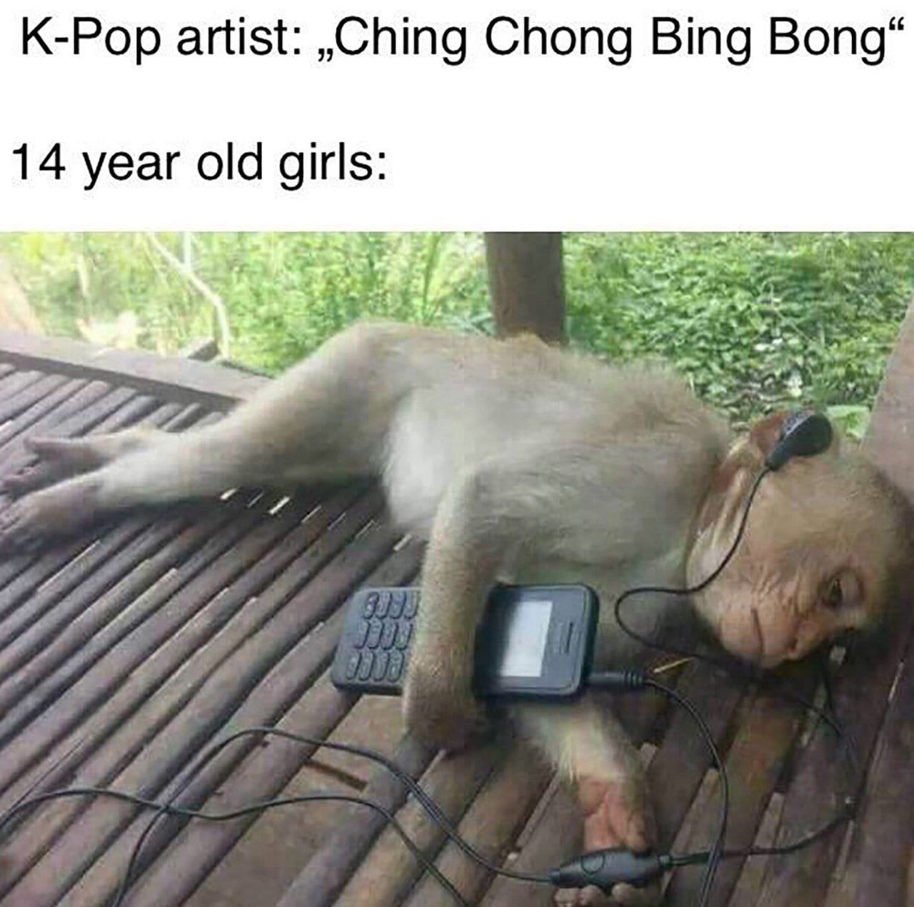 K-Pop artist: ,Ching Chong Bing Bong“ 14 year old girls: 71